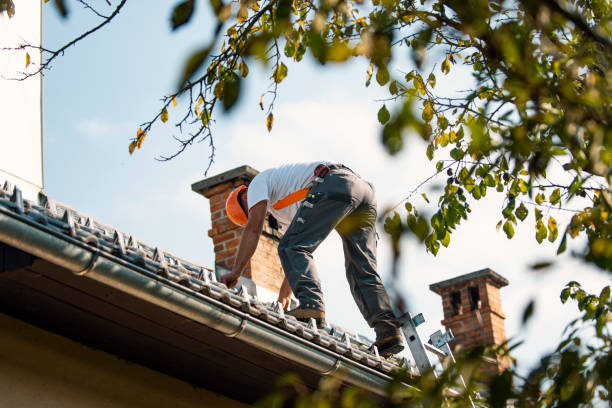 Best Storm Damage Roof Repair  in Blasdell, NY