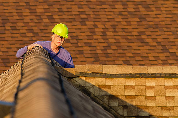 Roof Gutter Cleaning in Blasdell, NY
